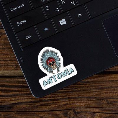 Antonia Sticker Indian Skull Laptop Image