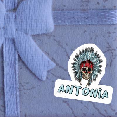 Antonia Autocollant Tête de mort Image