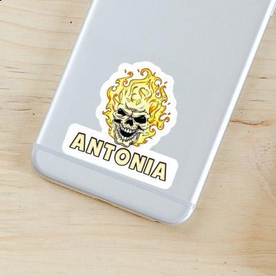 Skull Sticker Antonia Laptop Image