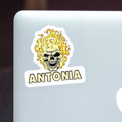 Skull Sticker Antonia Laptop Image