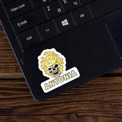 Skull Sticker Antonia Laptop Image