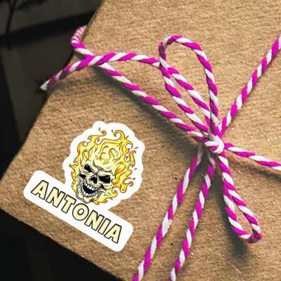 Skull Sticker Antonia Laptop Image