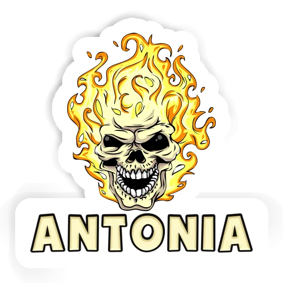 Skull Sticker Antonia Notebook Image