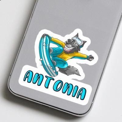 Autocollant Snowboardeur Antonia Gift package Image