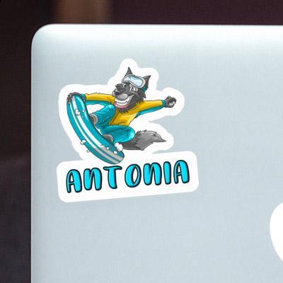 Boarder Sticker Antonia Laptop Image