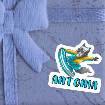 Boarder Sticker Antonia Notebook Image