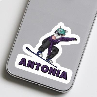 Snowboardeuse Autocollant Antonia Gift package Image