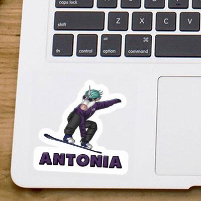 Snowboardeuse Autocollant Antonia Laptop Image