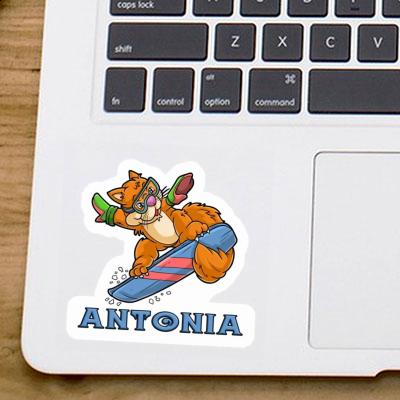 Autocollant Antonia Snowboardeuse Laptop Image