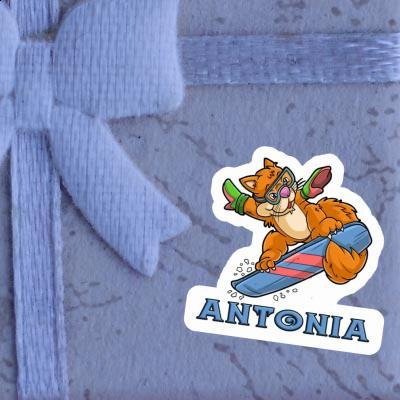 Antonia Sticker Snowboarder Laptop Image