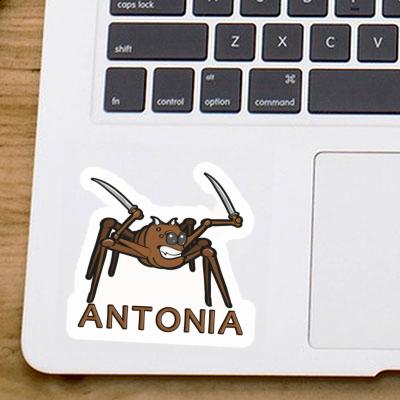 Sticker Antonia Fighting Spider Image