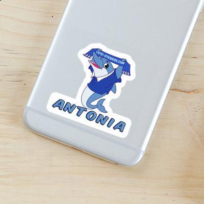 Dolphin Sticker Antonia Laptop Image