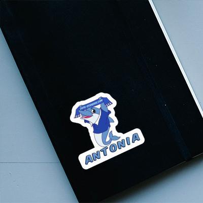 Dolphin Sticker Antonia Notebook Image