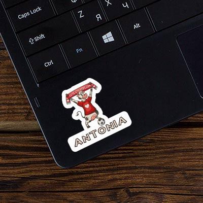 Kuh Sticker Antonia Laptop Image