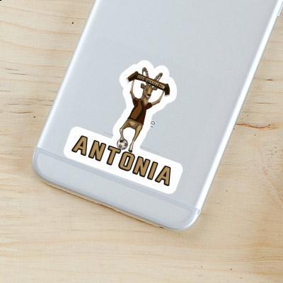 Sticker Capricorn Antonia Notebook Image