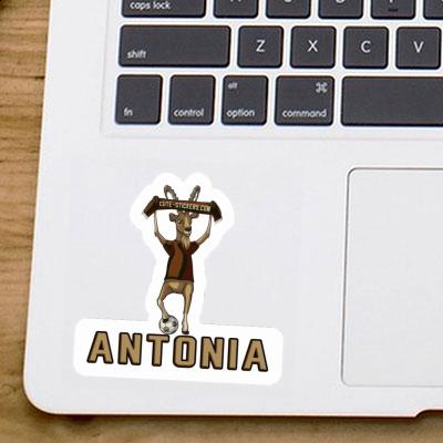 Sticker Capricorn Antonia Laptop Image