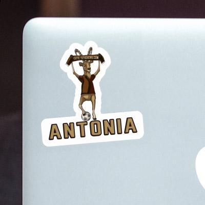 Sticker Capricorn Antonia Laptop Image