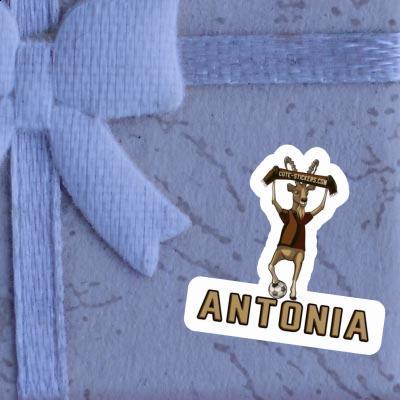 Bouquetin Autocollant Antonia Laptop Image