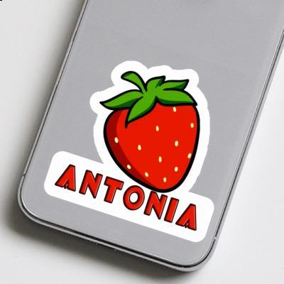 Strawberry Sticker Antonia Notebook Image