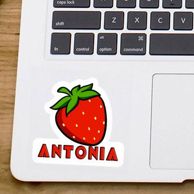 Strawberry Sticker Antonia Laptop Image