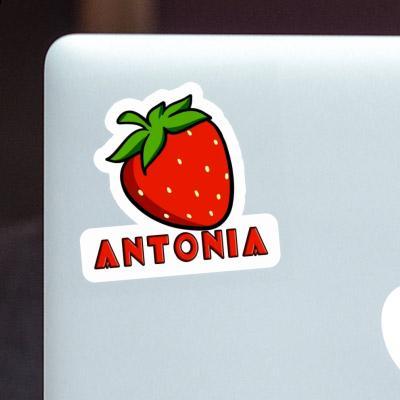 Strawberry Sticker Antonia Notebook Image