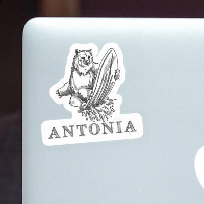 Autocollant Surfeur Antonia Laptop Image