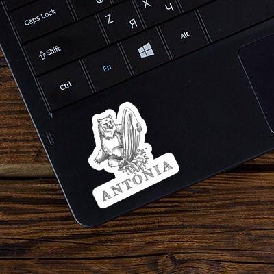 Antonia Sticker Bear Laptop Image