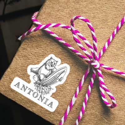 Antonia Sticker Bear Gift package Image