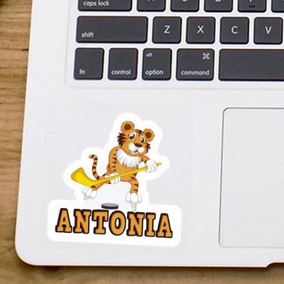 Antonia Sticker Ice-Hockey Player Gift package Image