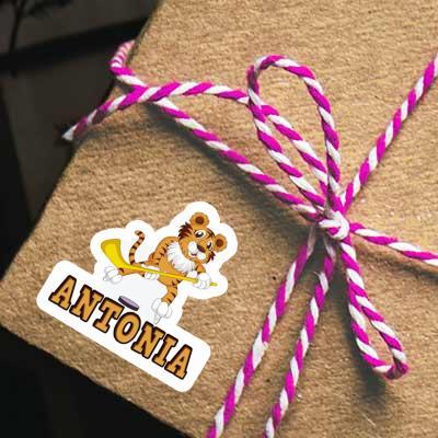 Antonia Sticker Ice-Hockey Player Gift package Image