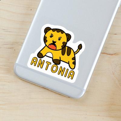 Sticker Baby Tiger Antonia Gift package Image