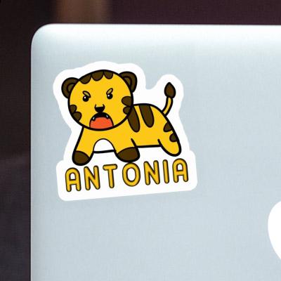 Sticker Baby Tiger Antonia Laptop Image