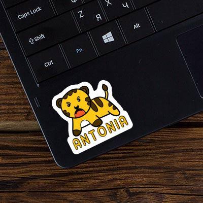 Sticker Baby Tiger Antonia Laptop Image