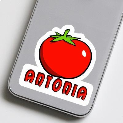 Sticker Tomate Antonia Laptop Image