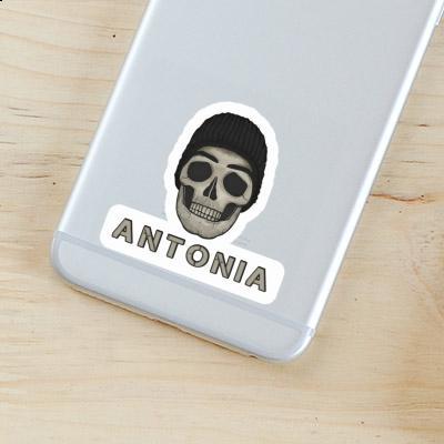 Sticker Antonia Skull Image