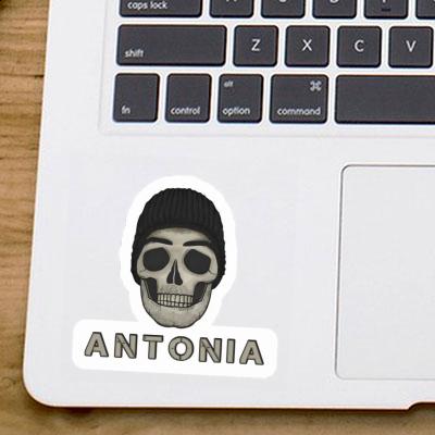 Sticker Antonia Skull Notebook Image