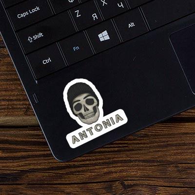 Sticker Antonia Skull Laptop Image