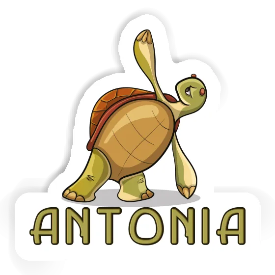 Aufkleber Yoga-Schildkröte Antonia Image