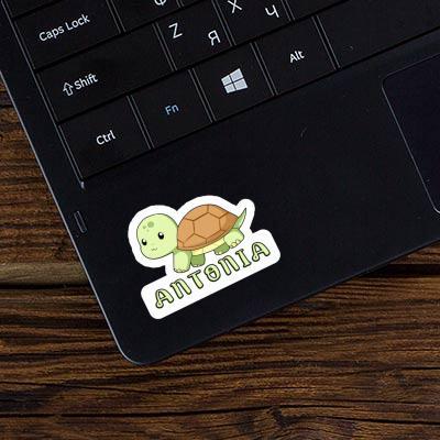 Turtle Sticker Antonia Laptop Image