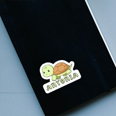 Antonia Autocollant Tortue Notebook Image