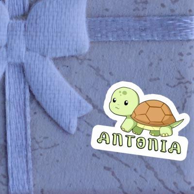 Antonia Autocollant Tortue Image