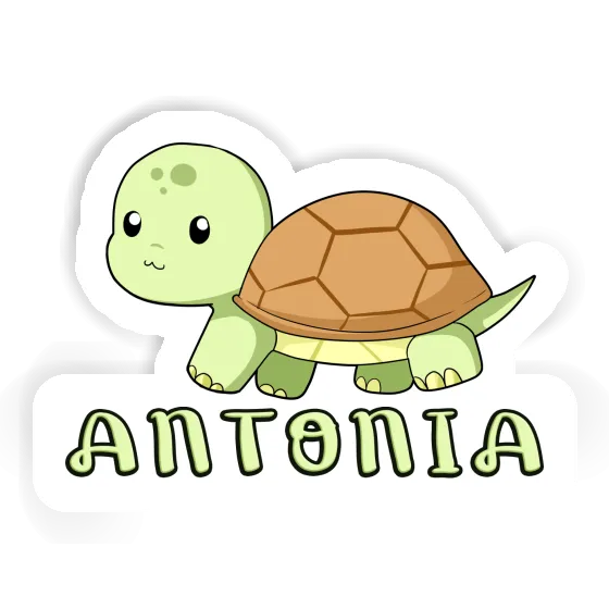 Turtle Sticker Antonia Notebook Image