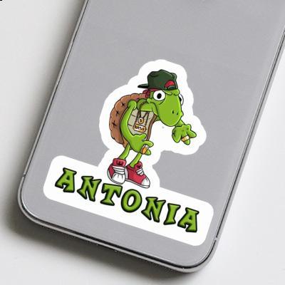 Antonia Autocollant Tortue Laptop Image