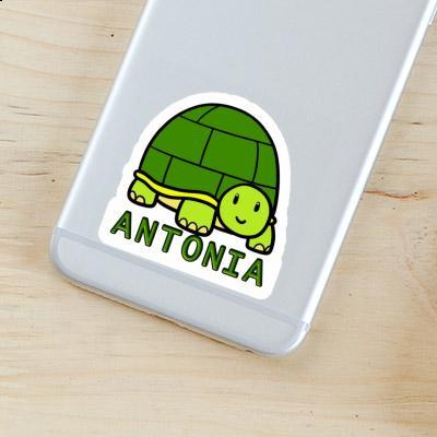 Sticker Turtle Antonia Laptop Image