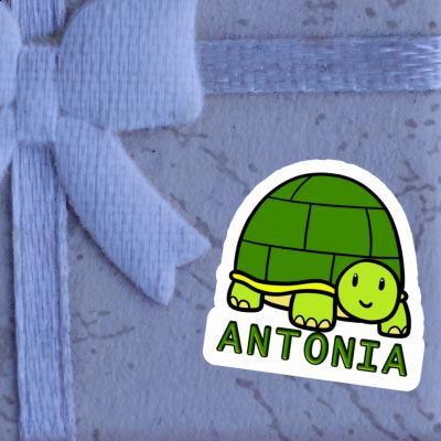 Sticker Turtle Antonia Image