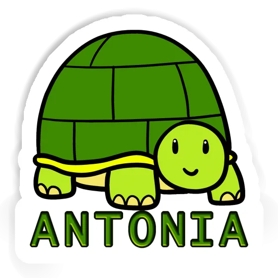 Sticker Schildkröte Antonia Laptop Image