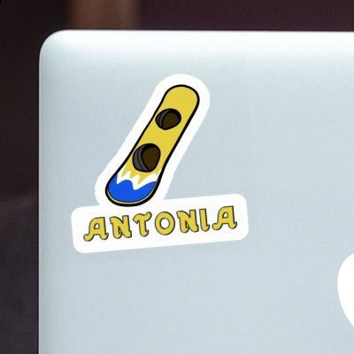 Sticker Wakeboard Antonia Image