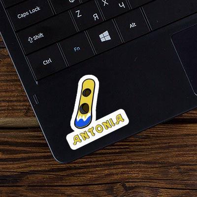 Sticker Wakeboard Antonia Laptop Image