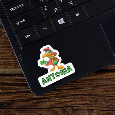 Antonia Sticker Hiker Laptop Image