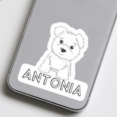 Antonia Autocollant Westie Laptop Image